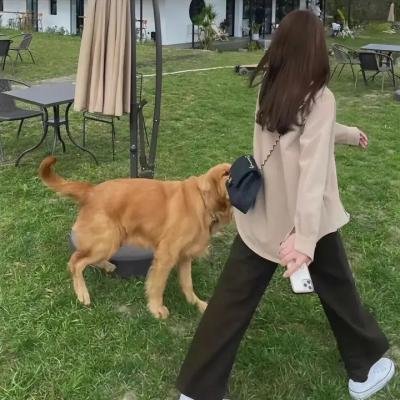 地狱机械舞